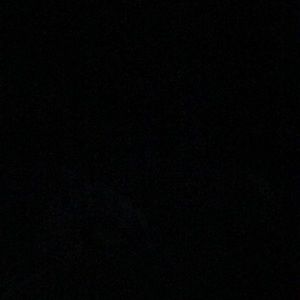 Meet your Posher, Anitra